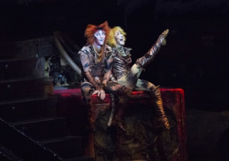 『キャッツ』撮影：佐藤アキラ