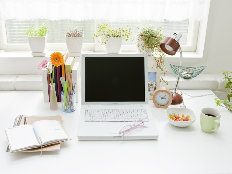 パソコン周りに観葉植物を置いて、「火」と「木」のバランスを整えましょう。