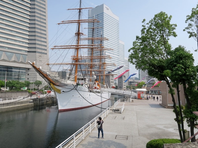 飼い主が見つかったことを子どもたちに告げられるシーンは「帆船日本丸」前(2016年5月2日撮影)