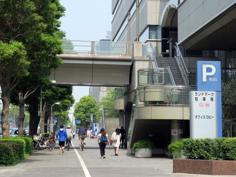 波瑠さん演じる柴山美咲と犬の散歩中に偶然出会った(ように装った)のは、みなとみらい大通りに面している歩道(2016年5月2日撮影)