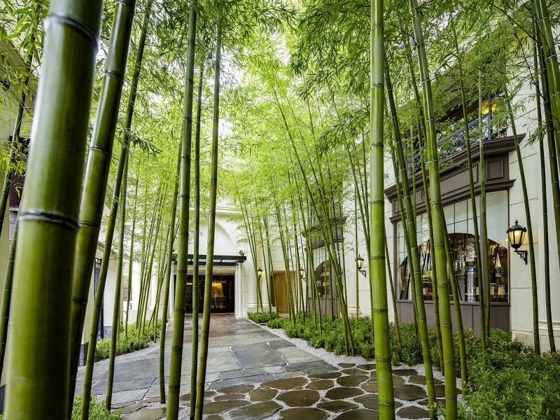 鮫島社長の自宅にあるエントランスの竹は実際に存在しますが、リビングやキッチンなどの部屋はセットだそうです(画像提供:横浜迎賓館)