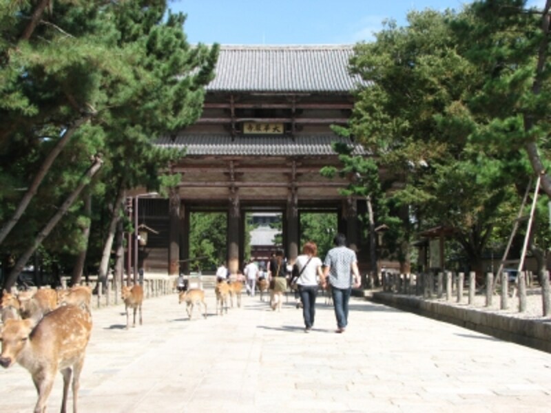 東大寺南大門と鹿たち