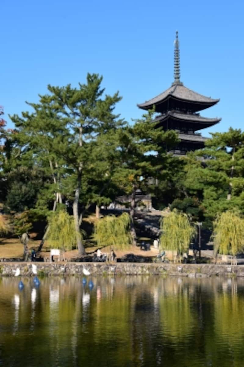 猿沢池と興福寺五重塔