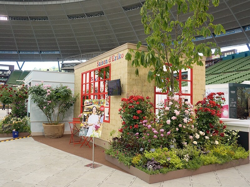 パリの小路~ La Ruede Paris ~