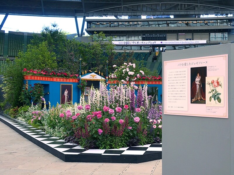 マルメゾン城バラの館
