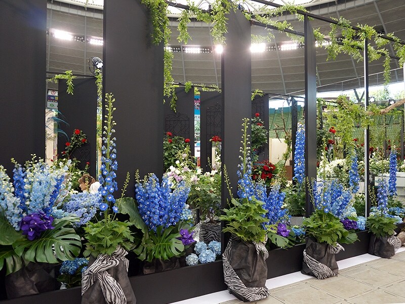 日仏の『階・・・きざはし・・・』