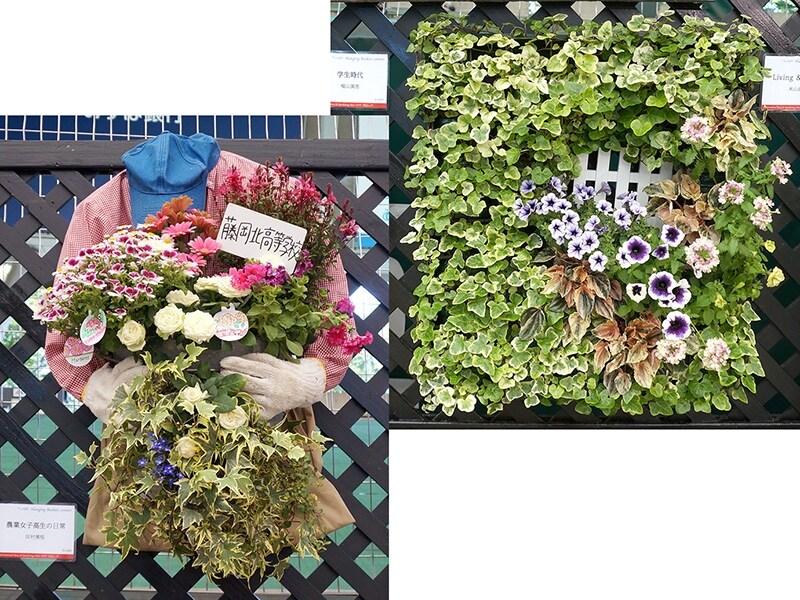 ハンギングバスケット部門出展作品