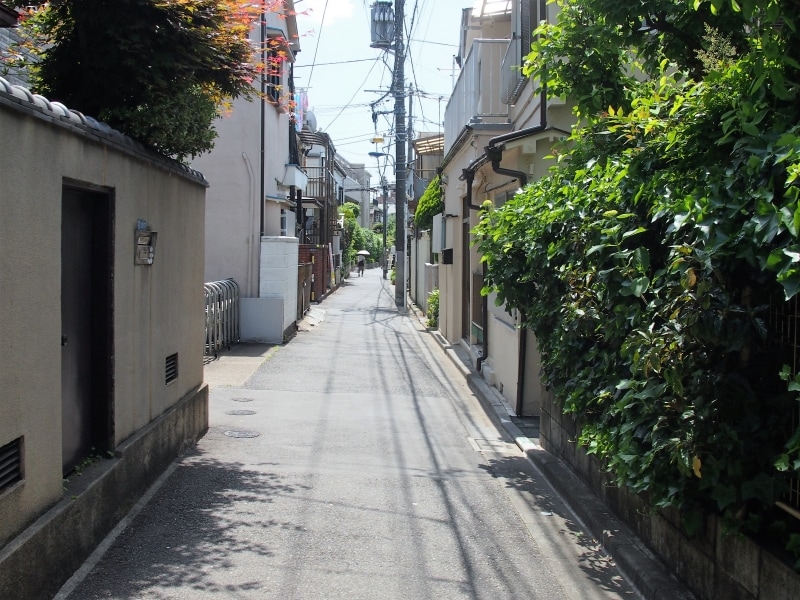 変化に富む散歩コースだ