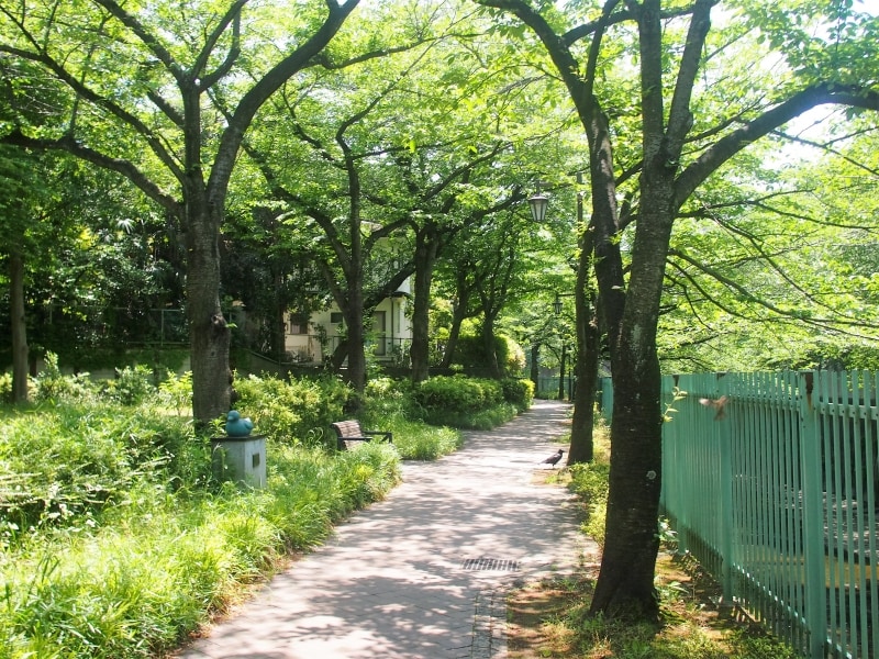 桜が咲く季節の散歩もいいだろうね