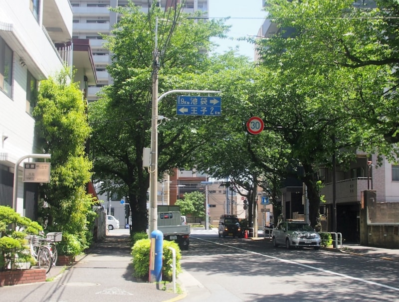 約100本の桜が植えられている。