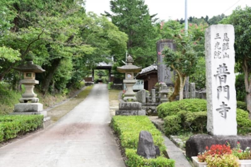 普門寺。休憩用のテーブルには無料で飲めるお茶を置いてくださり、自由に使えるきれいなトイレがあるのも、旅人にはありがたい