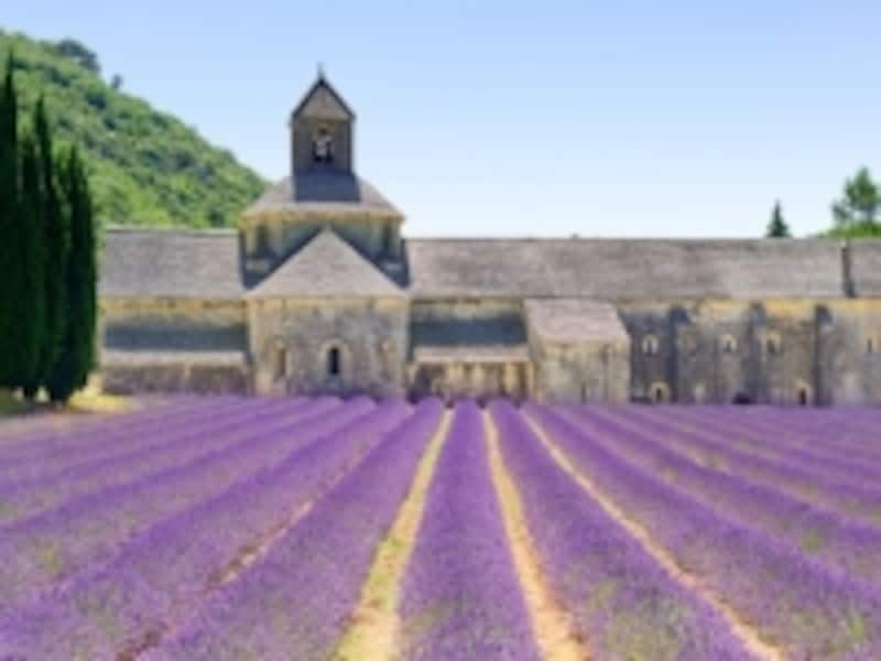 ラベンダーの名所セナンク修道院