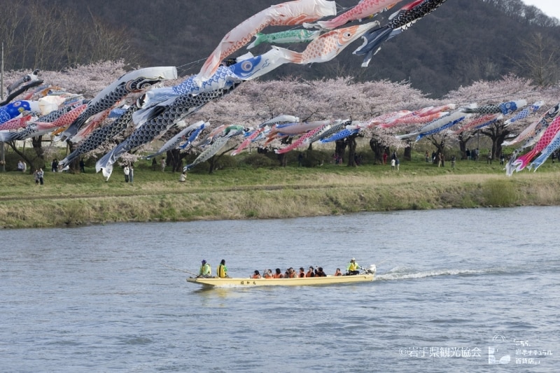 北上川からの眺めもおすすめです