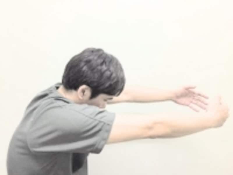 肩甲骨間が開くと少し背にカーブが生じます。頭の角度により首の後面も伸ばされます