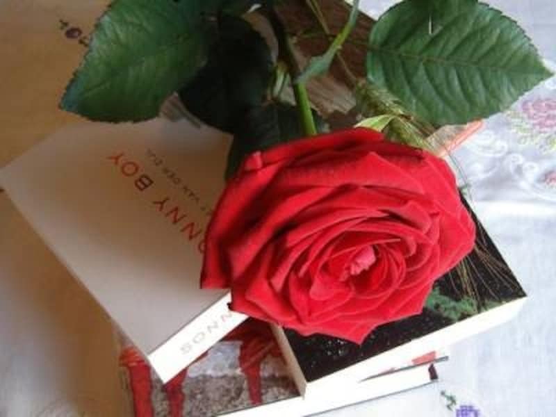 23日はバレンタインデーのバルセロナ版。町は本とバラ一色に。