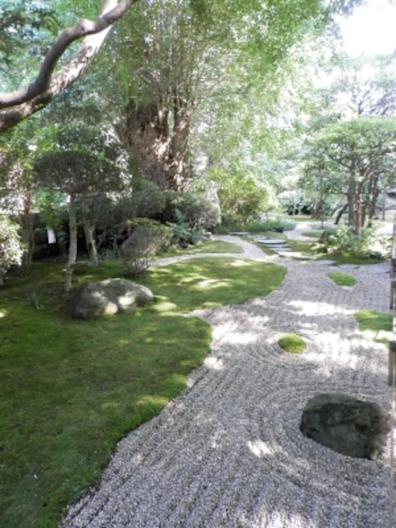 報国寺の庭園
