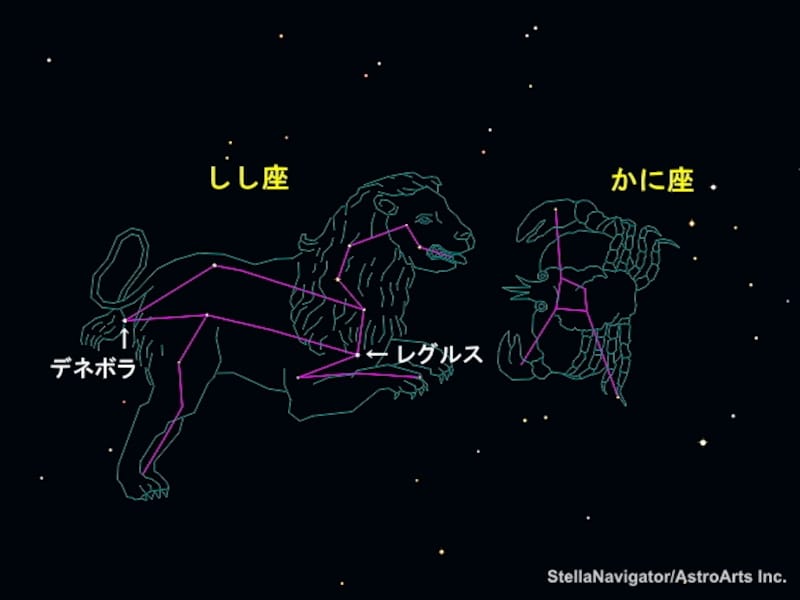 しし座とかに座