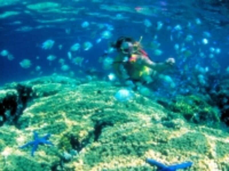 グアムスノーケルツアー