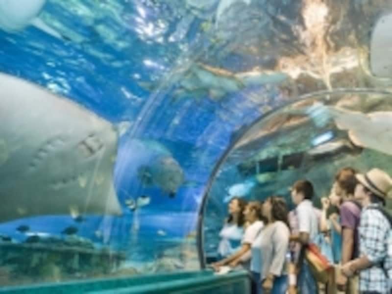 グアムオーシャンサファリ