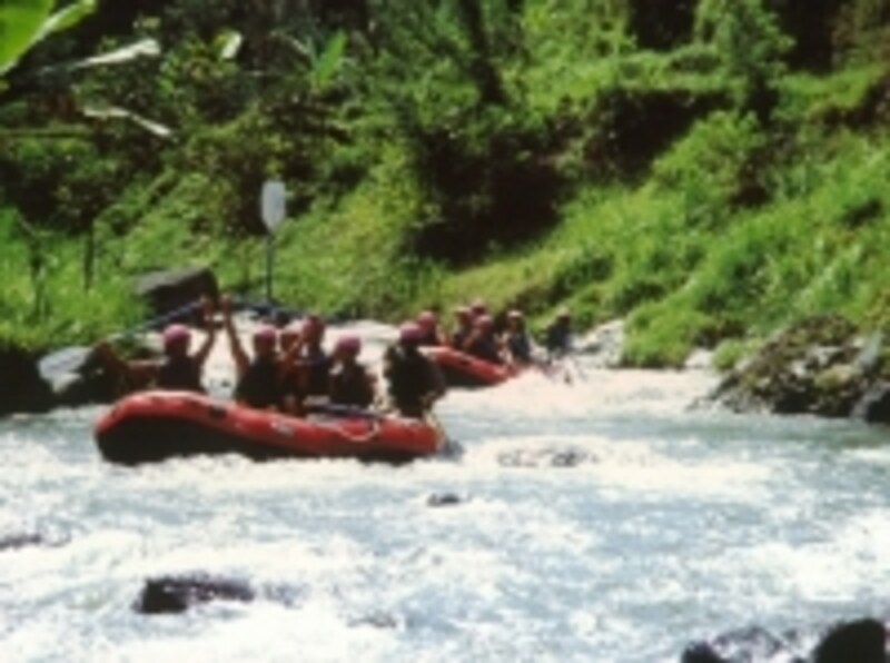 アジアオプショナルツアーベルトラ