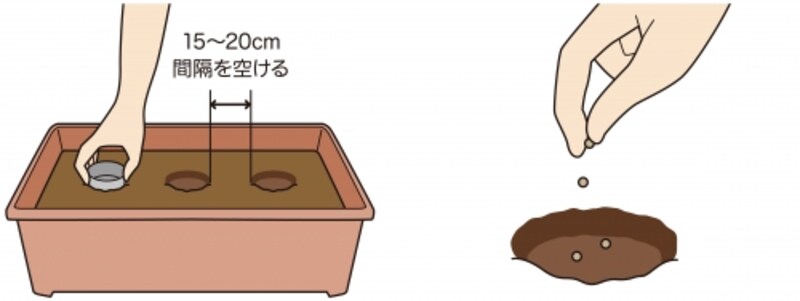 点まき