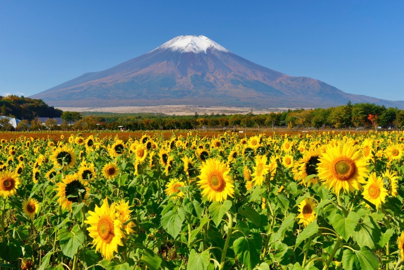 山の日とは、由来・意味