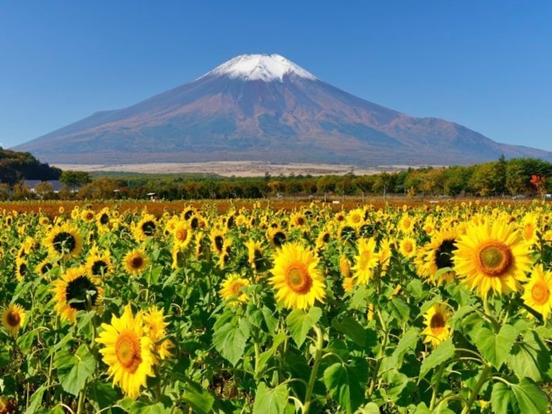 日本の国土のおよそ6～7割が山。「山の日」とは、山に親しむ機会を得て、山の恩恵に感謝するための祝日です。2014年に制定され、2016年に施行されました
