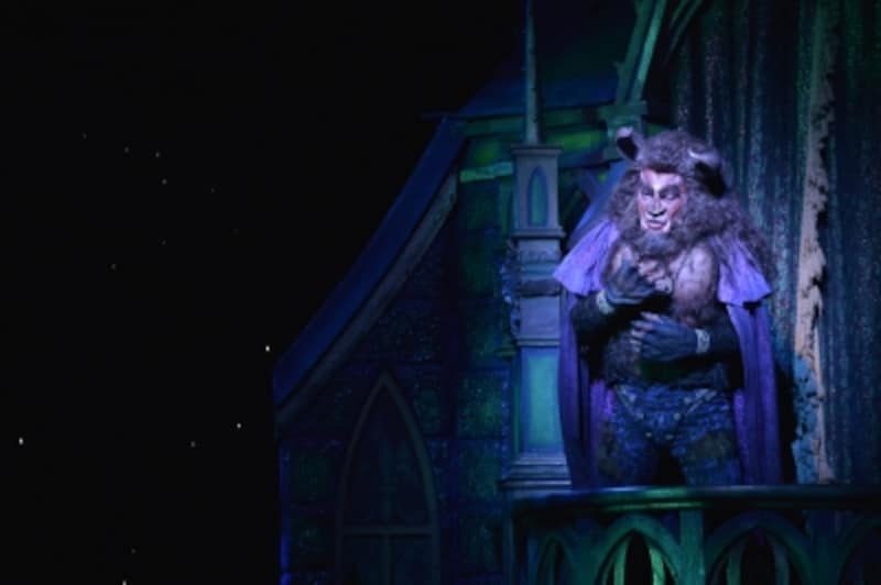 『美女と野獣』撮影：荒井健