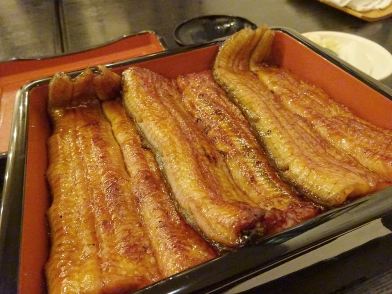 うなぎ処古賀 うな重(松)