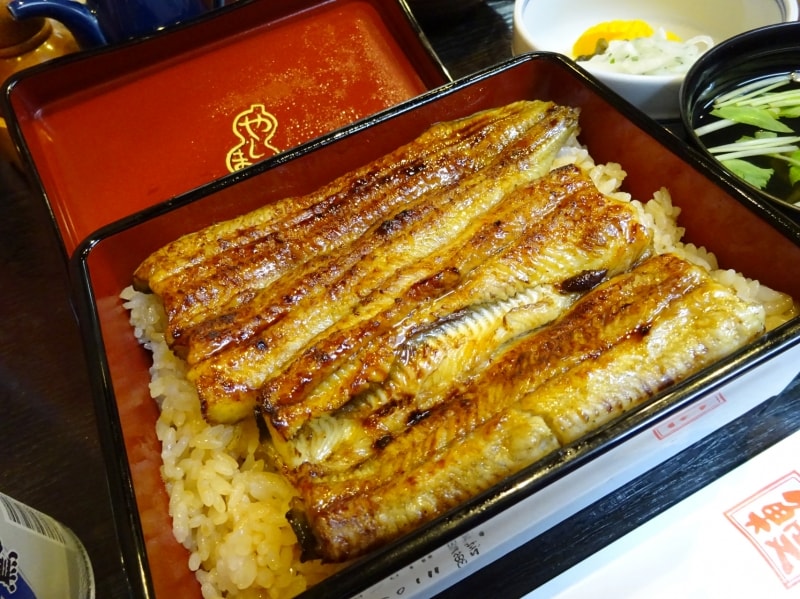 やしま うな重上