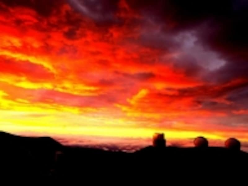 ハワイのオプショナルツアーundefinedベルトラ