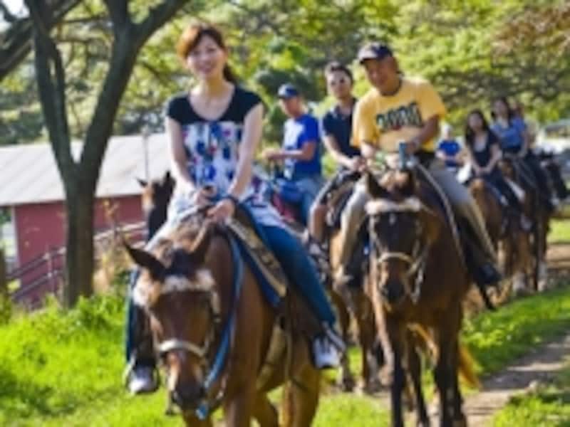 ハワイのオプショナルツアーundefinedベルトラ