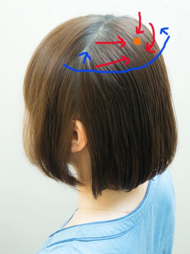 つむじの位置で分かれやすいので、赤い矢印の方向に乾かす