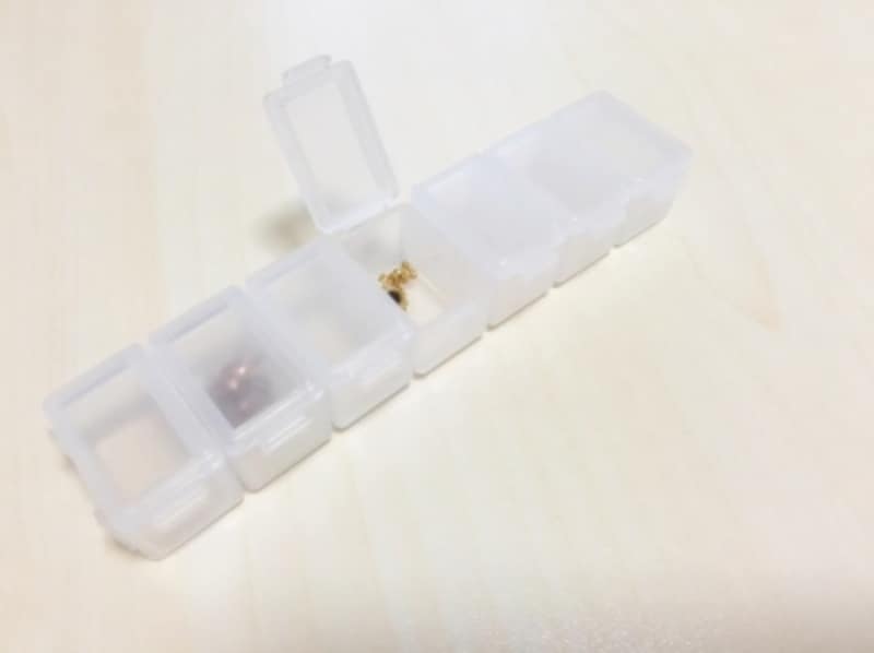 無印良品のピルケース