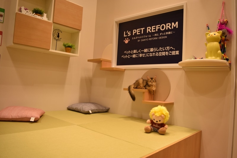 『猫との暮らしをデザインしたコラボレーションルーム』