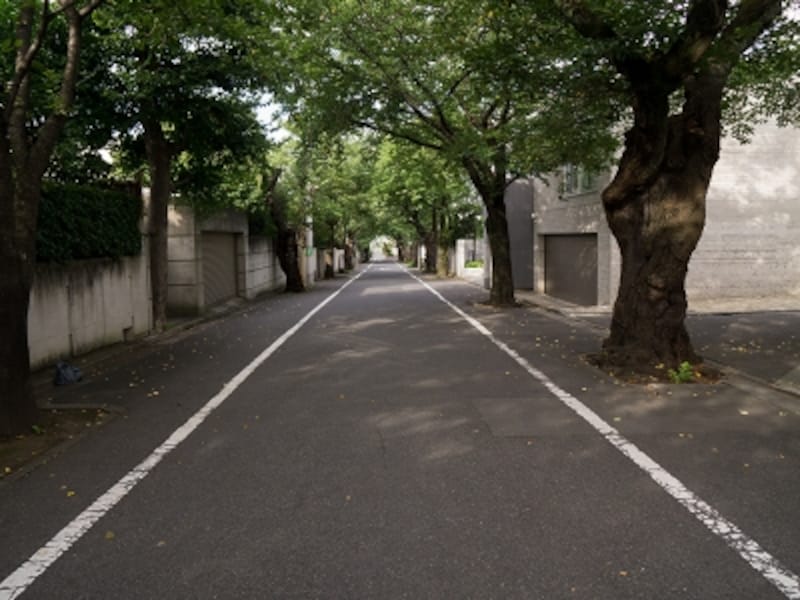 第一種低層住居専用地域の閑静な町並み
