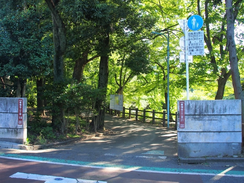 池の周辺の道は木陰もあって涼しい