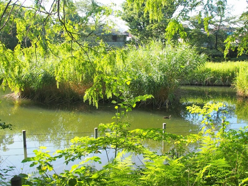 四季を通じて楽しめる公園だ