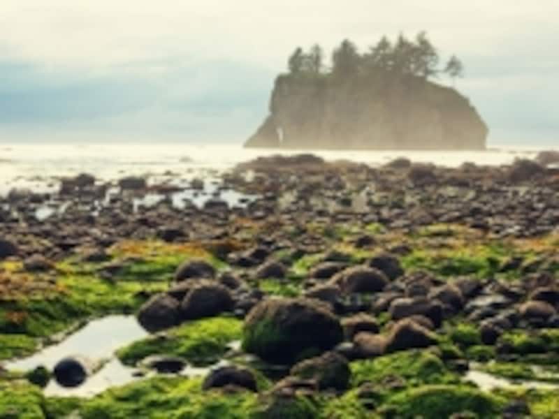 アメリカのオプショナルツアーundefinedベルトラ