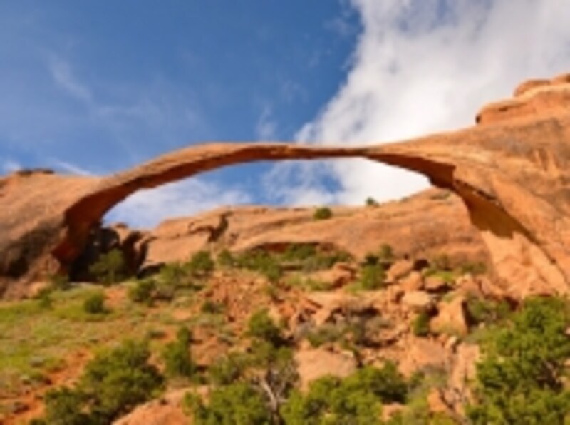 アメリカのオプショナルツアーundefinedベルトラ