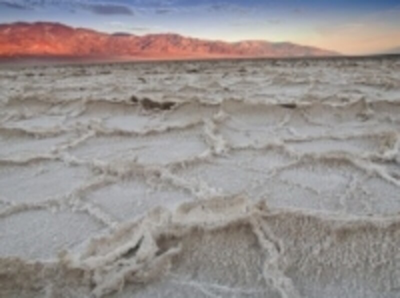 アメリカのオプショナルツアーundefinedベルトラ