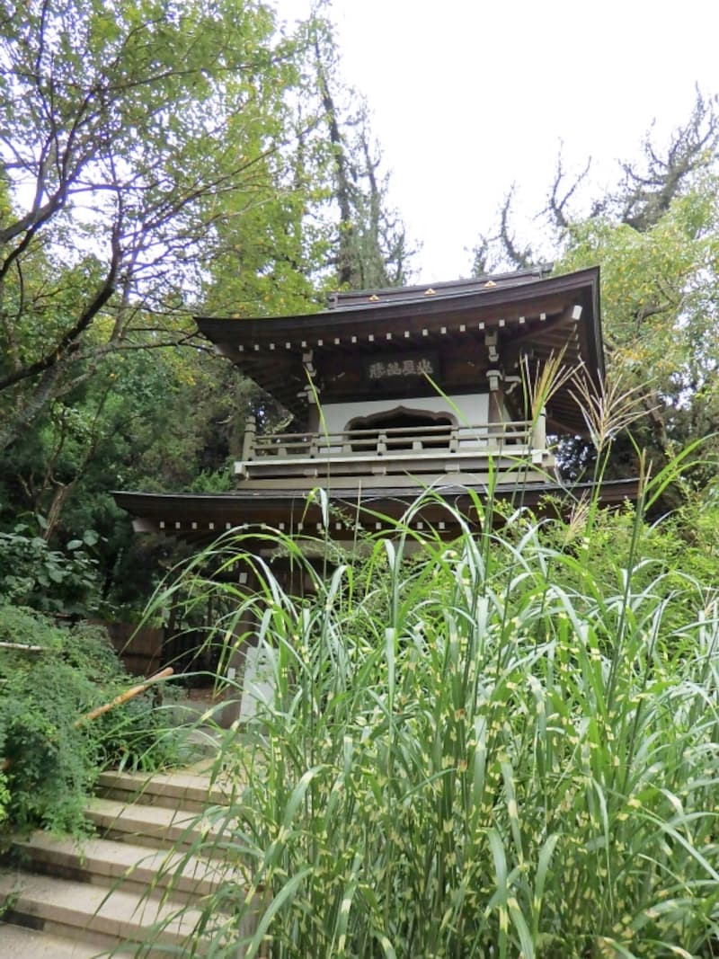 鐘楼門の脇に矢羽ススキが