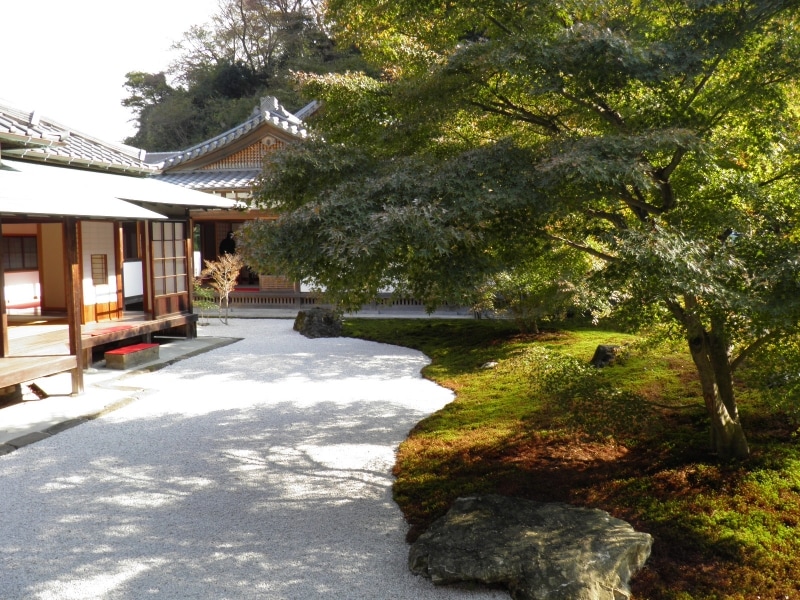 モミジの木々が美しいお庭