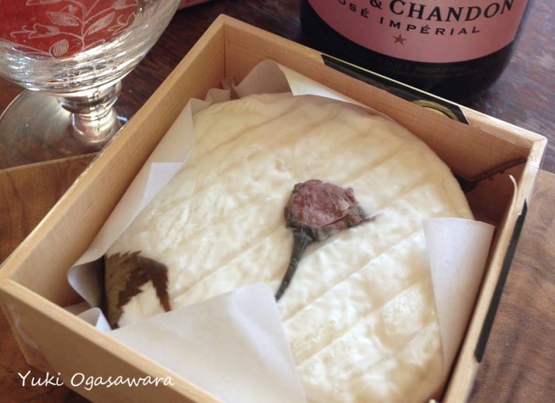 共働学舎新得農場の「さくら」