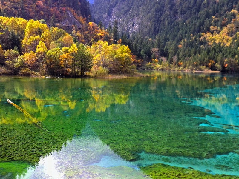 九寨溝