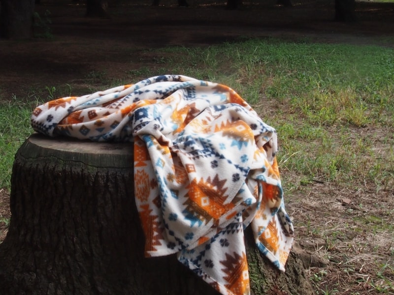 切り株の上にしまドルトン