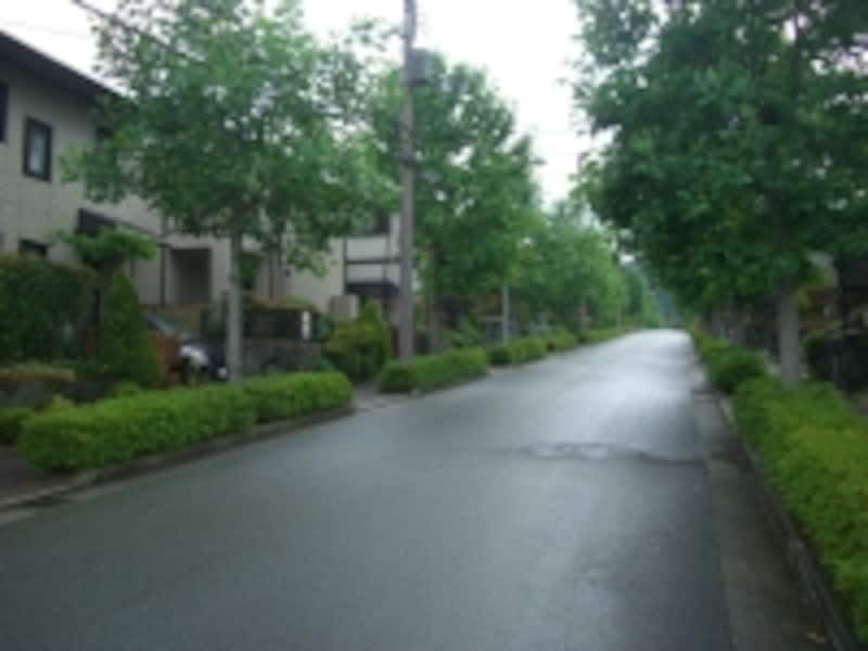 自然・環境・街並みを求めるのであれば猪名川パークタウンはオススメ。