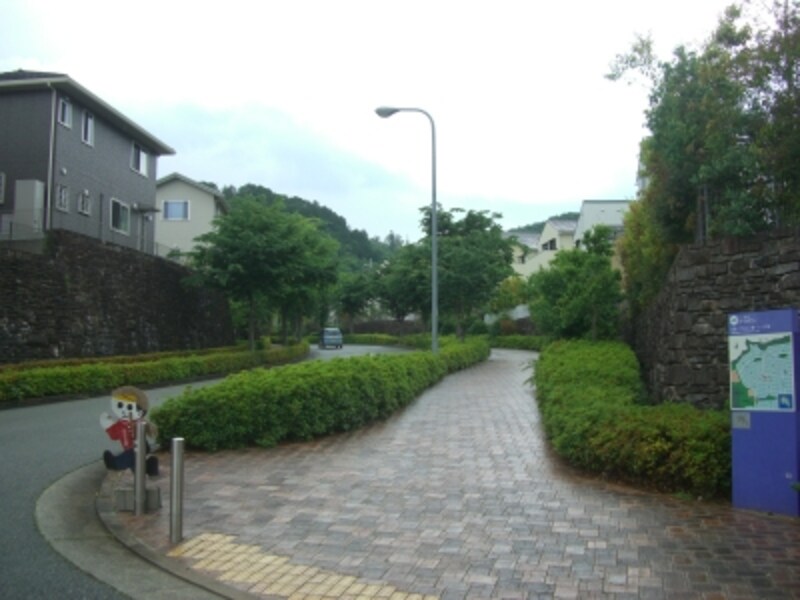 遊歩道以外の植栽は手がかかっている。歩道もゆったり。