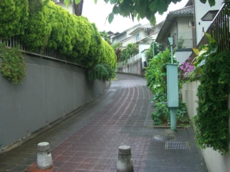 街区のところどころにインターロッキングを敷いた遊歩道。ほっとする空間。