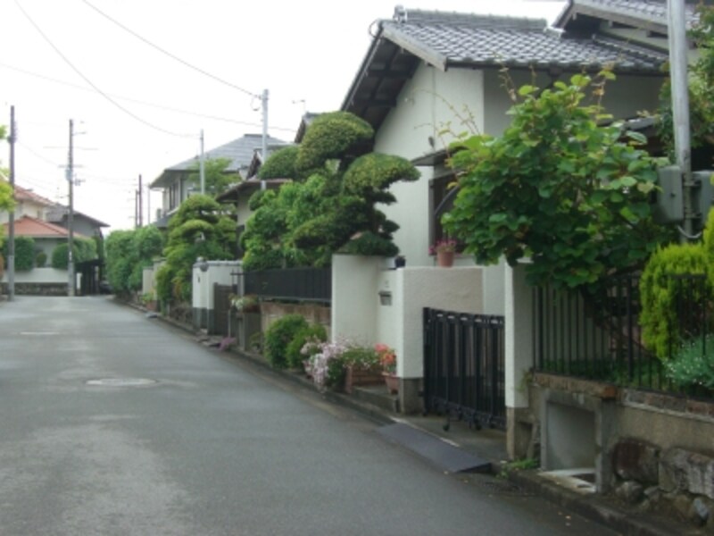 手入れの行き届いた庭。少し年代を感じるしつらえである。